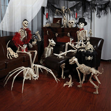 Load image into Gallery viewer, Skeleton Dragon Dog Animal 100% Plastic