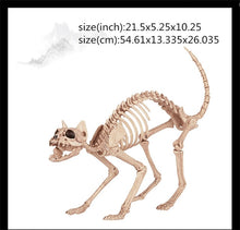 Load image into Gallery viewer, Skeleton Dragon Dog Animal 100% Plastic