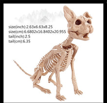 Load image into Gallery viewer, Skeleton Dragon Dog Animal 100% Plastic