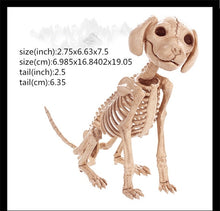 Load image into Gallery viewer, Skeleton Dragon Dog Animal 100% Plastic
