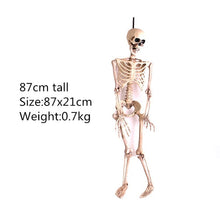 Load image into Gallery viewer, Skeleton Dragon Dog Animal 100% Plastic