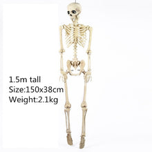 Load image into Gallery viewer, Skeleton Dragon Dog Animal 100% Plastic